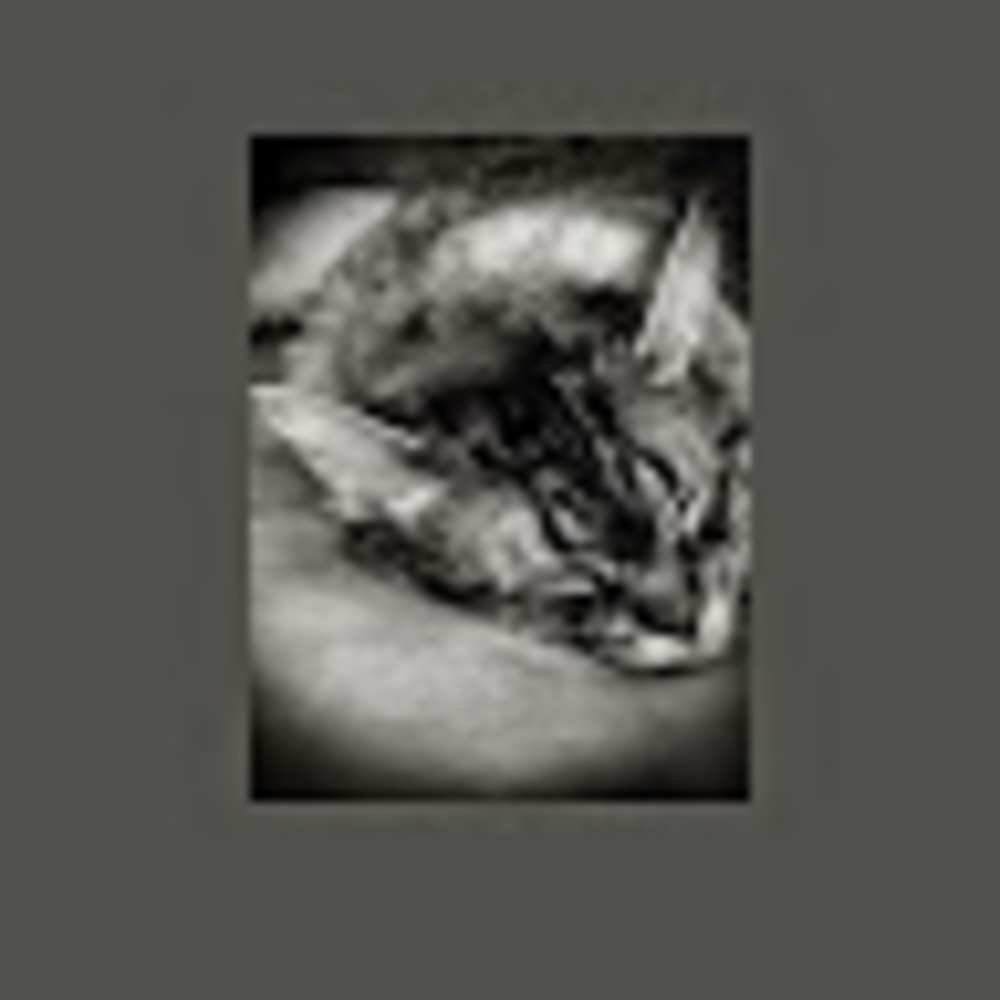 Meet your Posher, Nichole